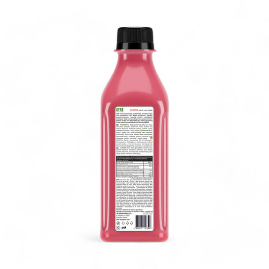 Guava Fruit Juice 200ml